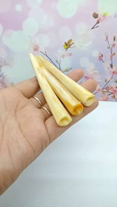 pipa once sirip marlino bulat lentik h605