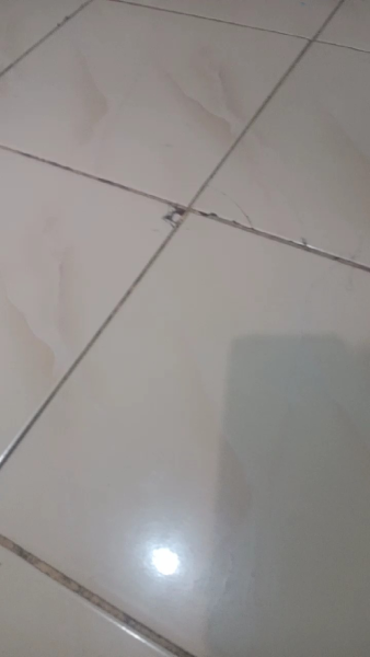 Buyer review video 3