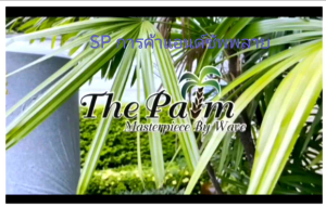 ถังเก็บน้ำบนดินตั้งพื้นไม่เป็นตะไคร่น้ำ จัดส่งฟรี ยี่ห้อ Wave รุ่น The Palm สะอาดปลอดภัย พร้อมปกป้องคุณทุกการใช้น้ำ 500 ลิตร 700ลิตร 1000ลิตร 2000 ลิตร เป็นถังป้องกันตะไคร่น้ำทึบแสง ถังมีความหนาพิเศษมาตรฐานมอก 1379- 2551 รับประกัน 25 ปี แถมลูกลอย