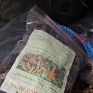 1kg Chuối hột Rừng Tây Nguyên loại 1