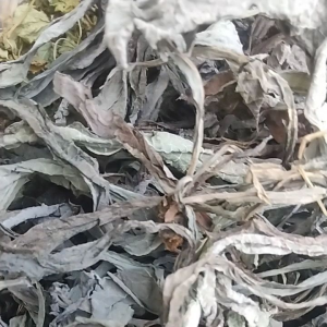 Jual Daun Tempuyung Kering 250 Gram