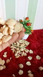 COD Kemiri 250 gr / bumbu dapur / promo kemiri