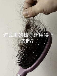 SP Fashion Life Air Cushion Comb Cleaning Net - Hair Brush Isolation & Debris Filter Tool 梳子网 梳子防堵网 梳子清洁网 梳子隔离网 梳子掉发隔离网 梳子清理神器 梳子清洁纸 梳子清洁器 隔离网
