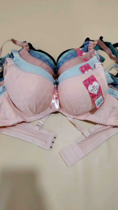 Push Up Women Bra Wired Steel Ring Size 32-38 Underwear /459 Baju Dalam Perempuan Wanita Ada Dawai Span Tebal