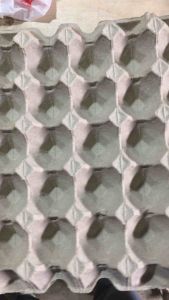 10 cái Vỉ giấy đựng trứng khay trứng giấy- Hàng nhập khẩu Malaysia mới cứng (100%)- dùng đựng trứng tô màu trồng cây nuôi dế..