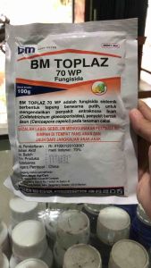 Fungisida Bm Toplaz 70 Wp 100 Gram Metiltiofanat Mengendalikan Bercak Antraknosa