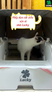 🍀TOILET TỰ ĐỘNG WIFI VERSION CHO MÈO XỊN CỰC- AUTOMATIC TOILET FOR CATS🐱