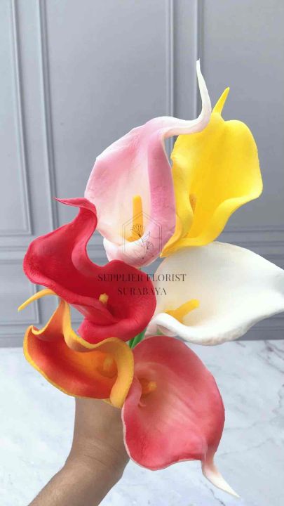 BUNGA CALLA LILY CALLALILY CALALILY CALALILY CALA LILY REAL TOUCH BAHAN ...