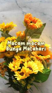 Bunga Palsu Matahari: Manfaat & Cara Menggunakannya