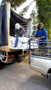 ปูนขาว ปูนหอย ปรับสภาพน้ำ  ปรับสภาพดินฆ่าเชื้อราในดิน ปรับค่าphไว้ลงสวนต่างๆปรับสภาพน้ำบ่อกุ้งบ่อปลาน้ำเสียถุงละ8กก