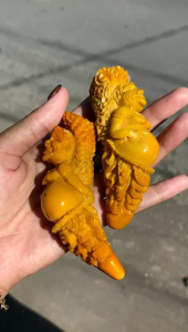 once pipa sarigading lawasan ukir Semar istimewa