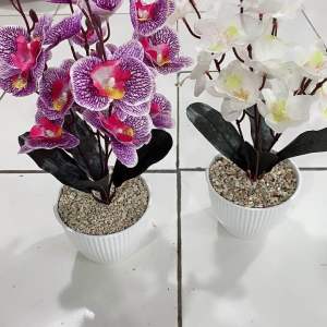 Bunga Hias & Artifisial Angrek Cabang 5 Set Pot Kerang