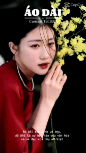 Áo dài dáng suông chụp ảnh