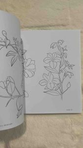 หนังสือวาดสีน้ำง่ายๆ-สไตล์ครูอุ๋ย: ดอกไม้