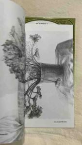 หนังสือวาดเส้นดอกไม้ ลายเพ้นท์ เล่ม 1 ชุดภาพดอกไม้ ราคานี้ได้รับทั้ง 2 เล่มนี้