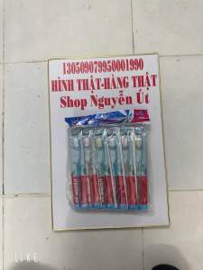 Bàn chãi đánh răng mỹ nguyên vĩ 12 cây