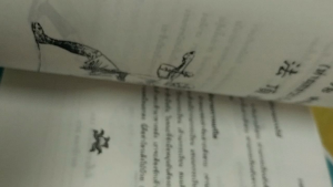 หนังสือ78ท่ามวยเสี้ยวลิ้มยี่มือสอง