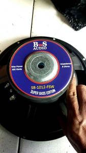 subwofer speaker 10 inch subwofer indor out dor