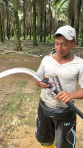 Egrek Sawit AGRADE Import Malaysia Original Langsung Pakai