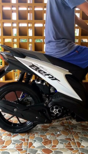 Knalpot TZM Cover Airblade PNP Beat Vario Mio Nmax Aerox Pcx