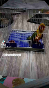 9X16 CARRIER/MINI CAGE FOR YOUR BIRDS
