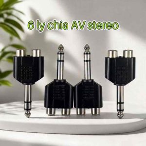 Rắc chuyển đổi Hoa Sen sang AV 6.5. Rắc mono hoặc stereo.