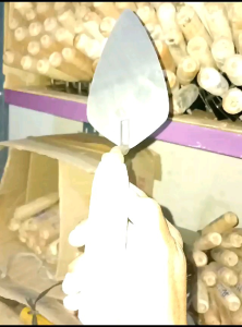 Cetok Poslen Galur asli panjang 14cm ( 1pcs )
