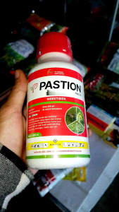 Pastion 500EC 500 ml Insektisida Pengendali Hama Kutu-Kutuan Trips & Lalat Buah Etion 500 g/l untuk Bawang Cabai Jeruk Semangka Melon Teh
