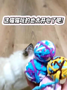 [SG]🚚 Pet Mute Cat Toy Woolen Yarn Ball Cat Teasing Ball Funny Kitten Bite Cat Teaser
