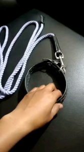 Promo Kalung dan tali tuntun anjing harian 3 baris