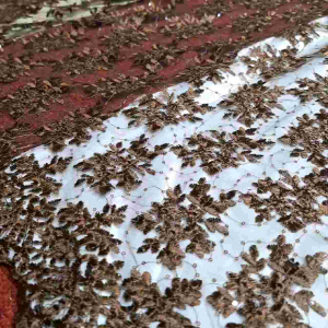 (COD)BAHAN TILLE BORDIR TEBAL | BAHAN KEBAYA | HARGA YANG TERTERA PER SETENGAH METER