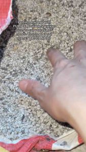 Pumice Stone: 20kg Pumice per Sack