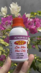 Chế Phẩm Báo Hỷ Lên Màu Hoa Giấy Giúp Bền Hoa Màu Sắc Rực Rỡ Chống Rụng Hoa lọ 100ml