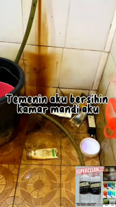 Biang citrun pembersih 500 gram