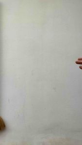 Cần câu lure - câu cá chất liệu cacbon cao cấp - thiết kế tông màu trắng sang trọng - ngọn 22 ly siêu khoẻ -giá siêu rẻ- tặng kèm 1 cuộn dù shimano x8 100m