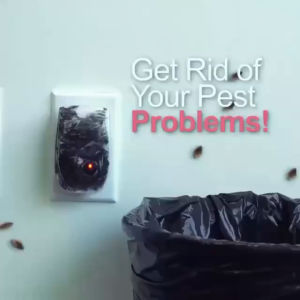 Penghalau tikus dan serangga plug in machine halau tikus lipas nyamuk serangga kecil