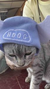 หมวกสัตว์เลี้ยง สําหรับแมวและสูงสุนัข ลายดอกทานตะวัน นางฟ้าตัวน้อย เสือน่ารัก สีเหลือง เป็ดน้อยสีชมพู น่ารัก สินค้าสต็อกในไทย ส่งไวที่ง่าย!!