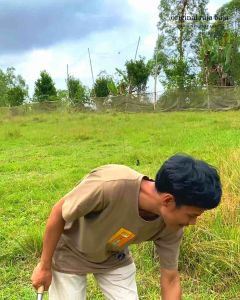 Arit Rumput Merk 88: Perawatan Rumput Mudah & Efisien