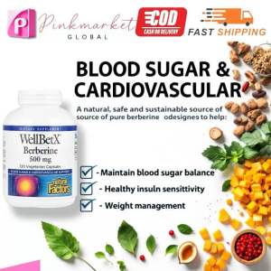 Natural Factors WellBetX Berberine 500 mg Capsules: A Natural Herbal Supplement for Digestive Health Support