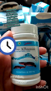 KAPSUL IKAN GABUS PRO ALBUMIN Herbal kapsul extract ikan gabus pro albumin kutuk