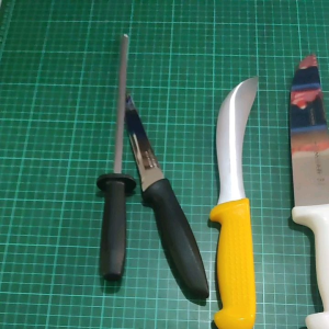 Paket Sembelih Qurban Domba Kambing: Paket Qurban Berkualitas