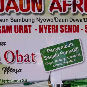 herbal extrak daun afrika asam urat
