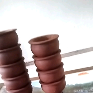 Pot Bonsai Untuk Interior: Pilihan & Tips