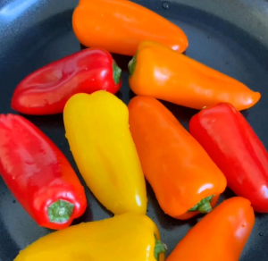 (KEMASAN PREMIUM) BIJI | BENIH TANAMAN PAPRIKA MINI ORANGE (isi -+55 butir)