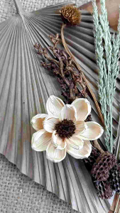 Bunga Kering & Aksesoris Dekorasi Properti: Panduan Lengkap