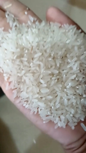 Beras Murah Promo 9 kg