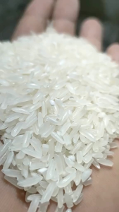 Beras Pulen Murah Promo 10 Liter