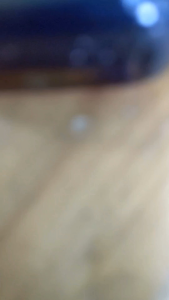 MINYAK 1001 KHASIAT JUNGLE GIRL