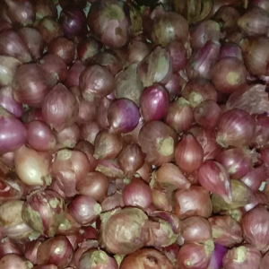 Bawang Merah Fresh Premium super