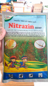 Thuốc Trừ cỏ trên Ngô Nitrazin 800WP chọn lọc